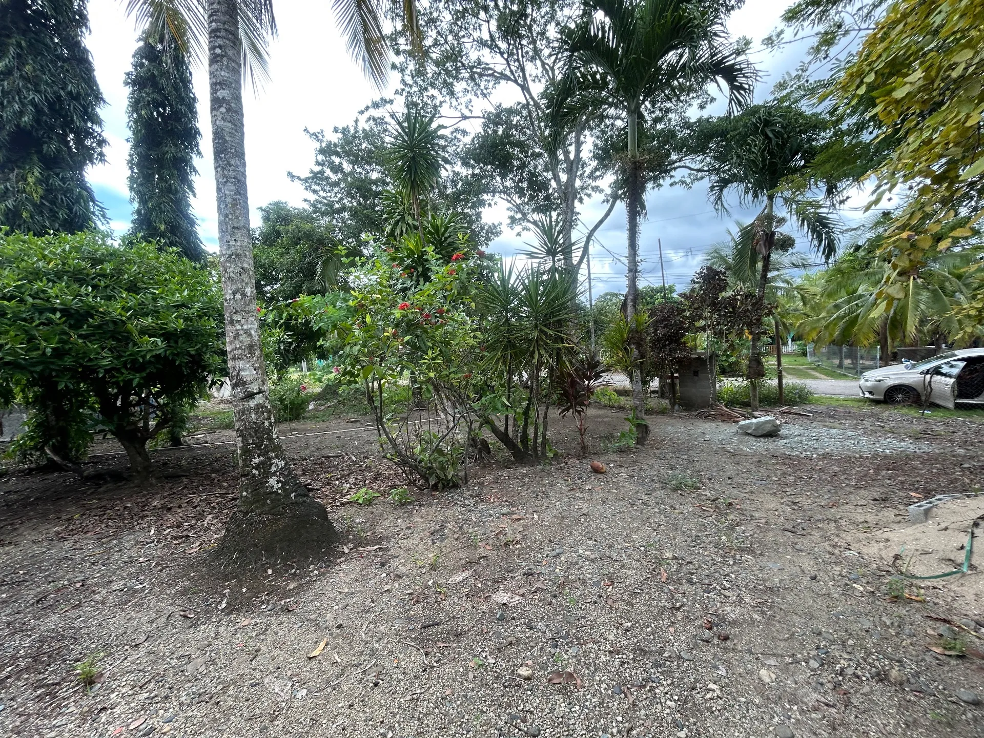 Se vende casa en las Margaritas de Chepo con derecho posesorio — foto 5