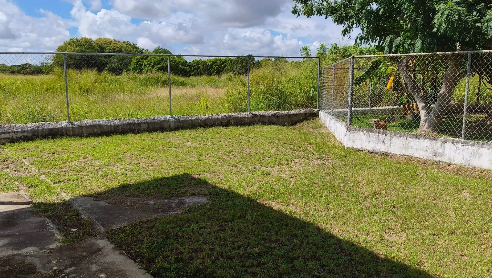 Se vende amplia hermosa casa céntrica, calle tranquila en Paseo del Rio, Penonome, Coclé — foto 6